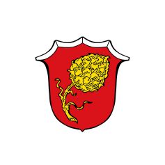 Lonnerstadt
