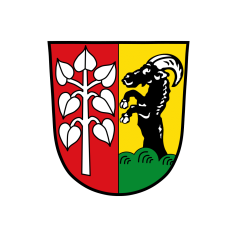 Schwifting