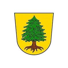 viechtach Wappen neu